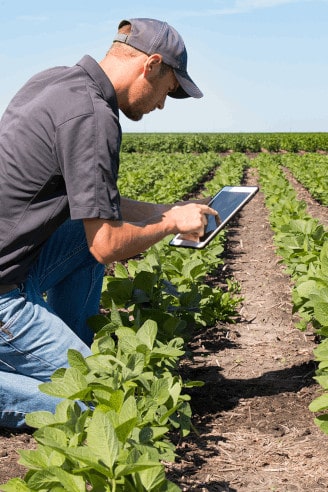 Offline mobile data collection from anywhere